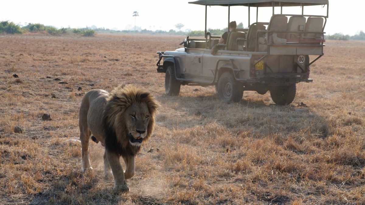 Galleria foto 'Le suite più belle da provare nel 2020' - foto 22