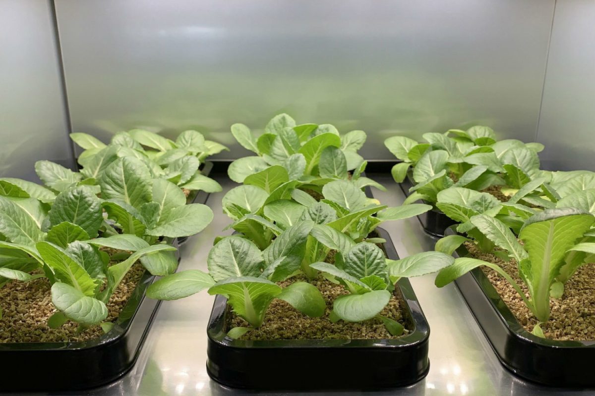 Nove oggetti in arrivo dal futuro Nove oggetti in arrivo dal futuro