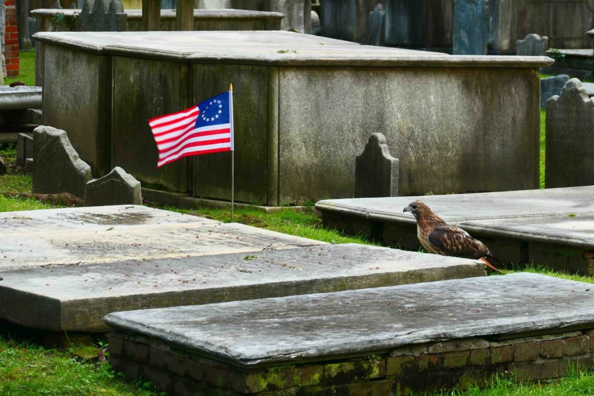 Galleria foto 'Cosa vedere a Philadelphia, la città dell’amore fraterno' - foto 8
