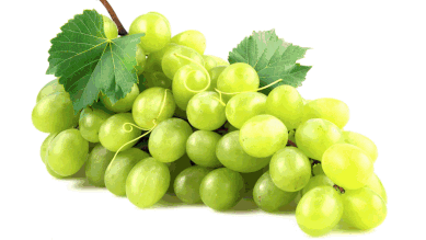 Alla guerra del vino