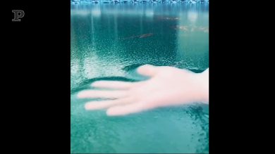 Le magie dell’acqua ghiacciata | video