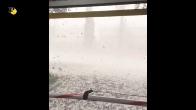 Violenta grandinata a Canberra