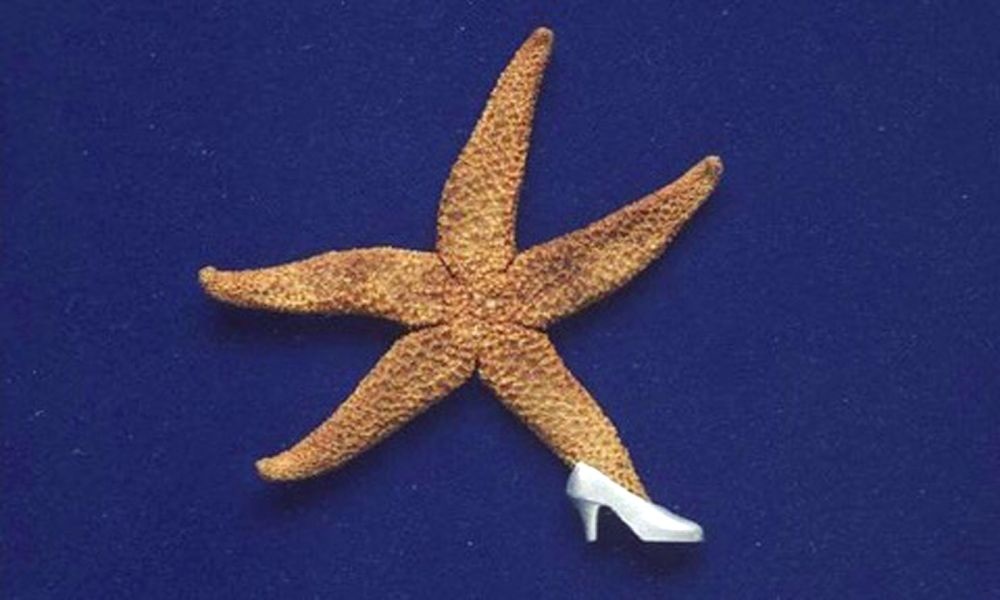 Ivi, Andromeda: quando il pop incontra lo stile Dietrich Ivi, Andromeda: quando il pop incontra lo stile Dietrich