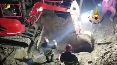 Salvati i due cani scivolati in un burrone a Bologna