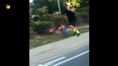 Anche i pappagalli devono essere portati a spasso