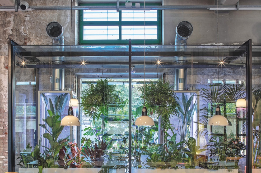 Disinquinati dalla natura Disinquinati dalla natura