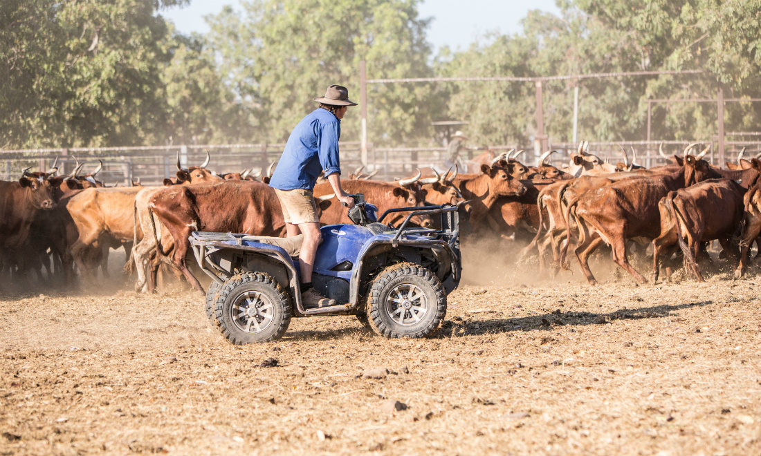 Hotel, così il soggiorno diventa su misura