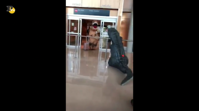 Un insolito incontro in aeroporto tra dinosauri