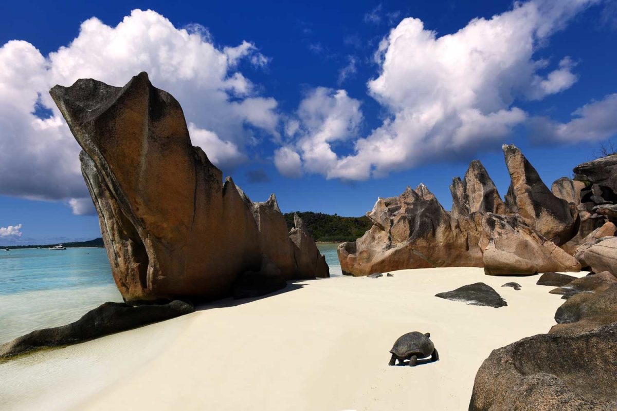 Seychelles, il paradiso è ecosostenibile. Cosa vedere Seychelles, il paradiso è ecosostenibile. Cosa vedere
