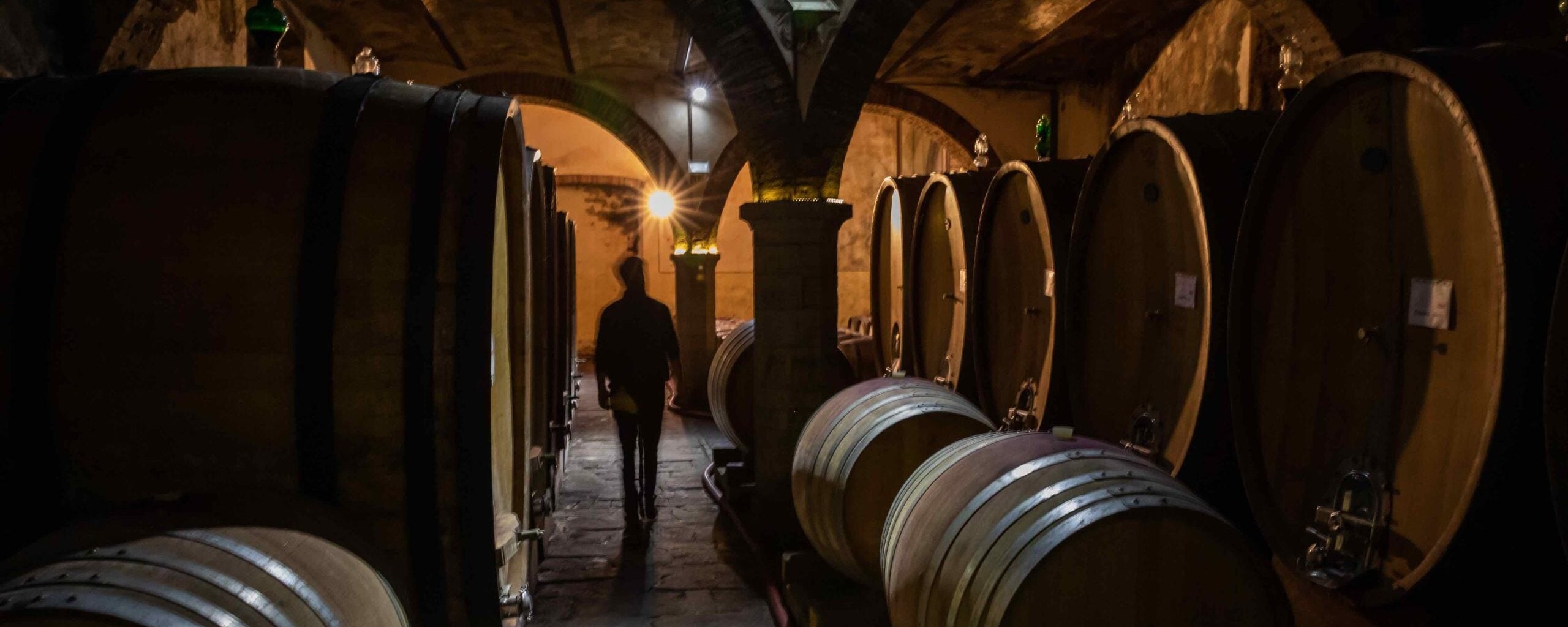 Vino, tempesta perfetta: export a -13% e 74 milioni di ettolitri fermi in cantina. Ragioni (e soluzioni) della crisi Vino, tempesta perfetta: export a -13% e 74 milioni di ettolitri fermi in cantina. Ragioni (e soluzioni) della crisi