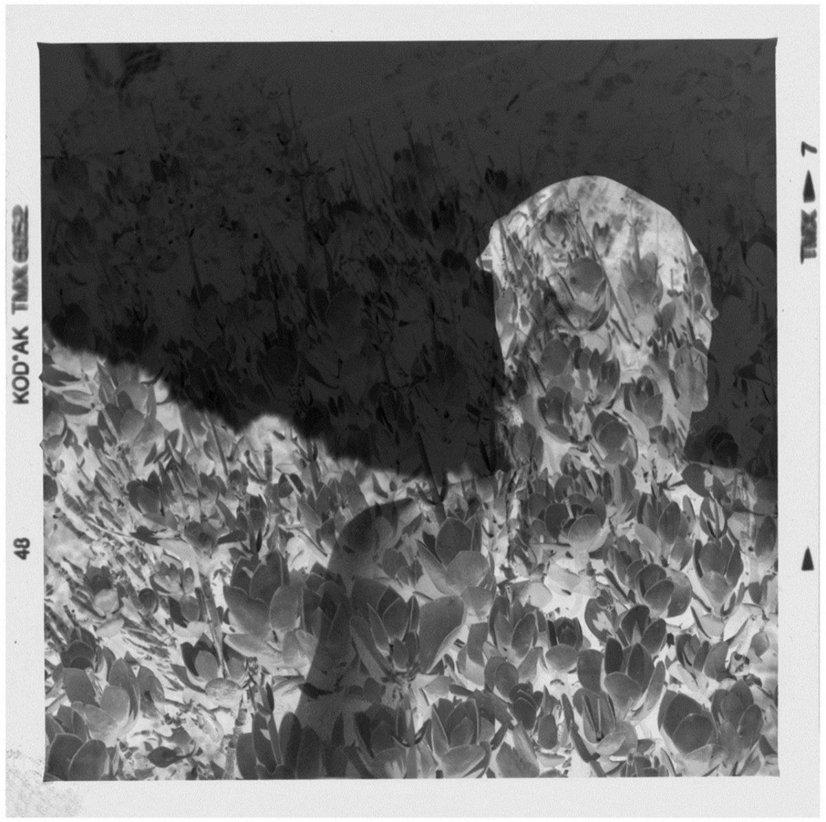 Galleria foto 'MIA Photo Fair: al via la decima edizione' - foto 2