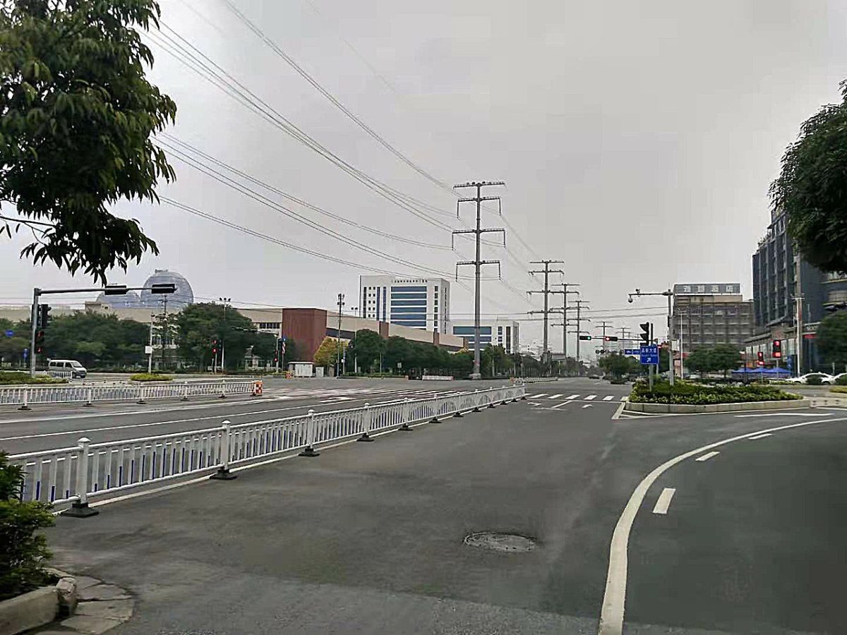 Galleria foto 'Coronavirus: “Io, italiano, prigioniero in Cina”' - foto 4