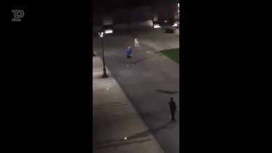 Novak Djokovic gioca per le strade con i bambini