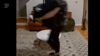 Il perfetto collaboratore domestico