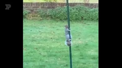 Grandi scalate per piccoletti