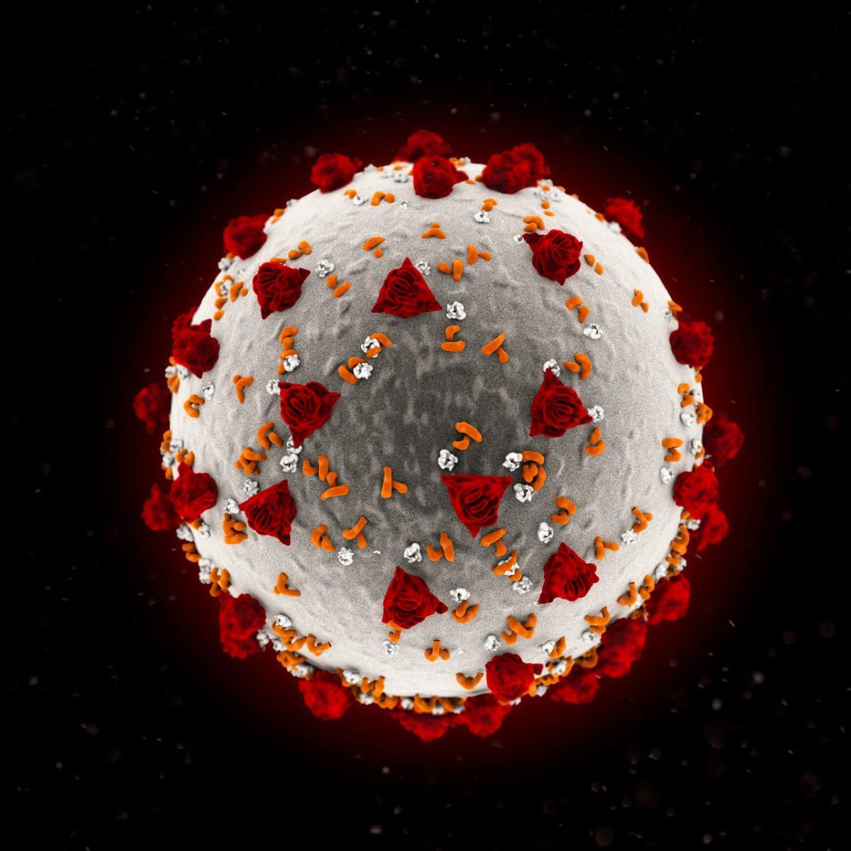 La guerra dei virus La guerra dei virus