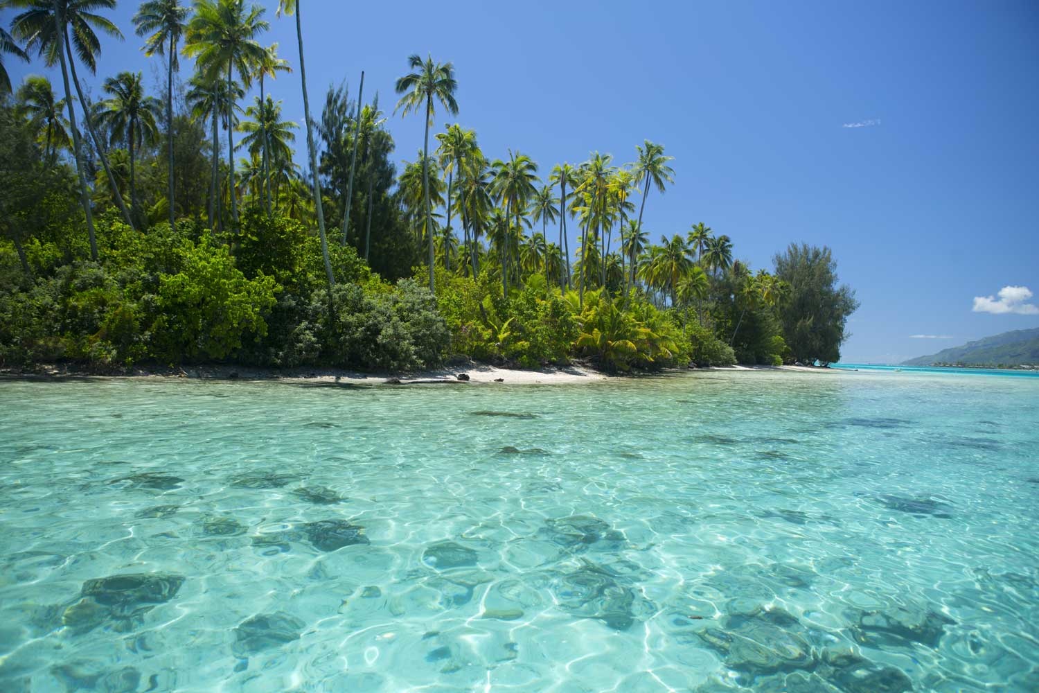 Viaggio a Tahiti, cosa sapere, cosa vedere