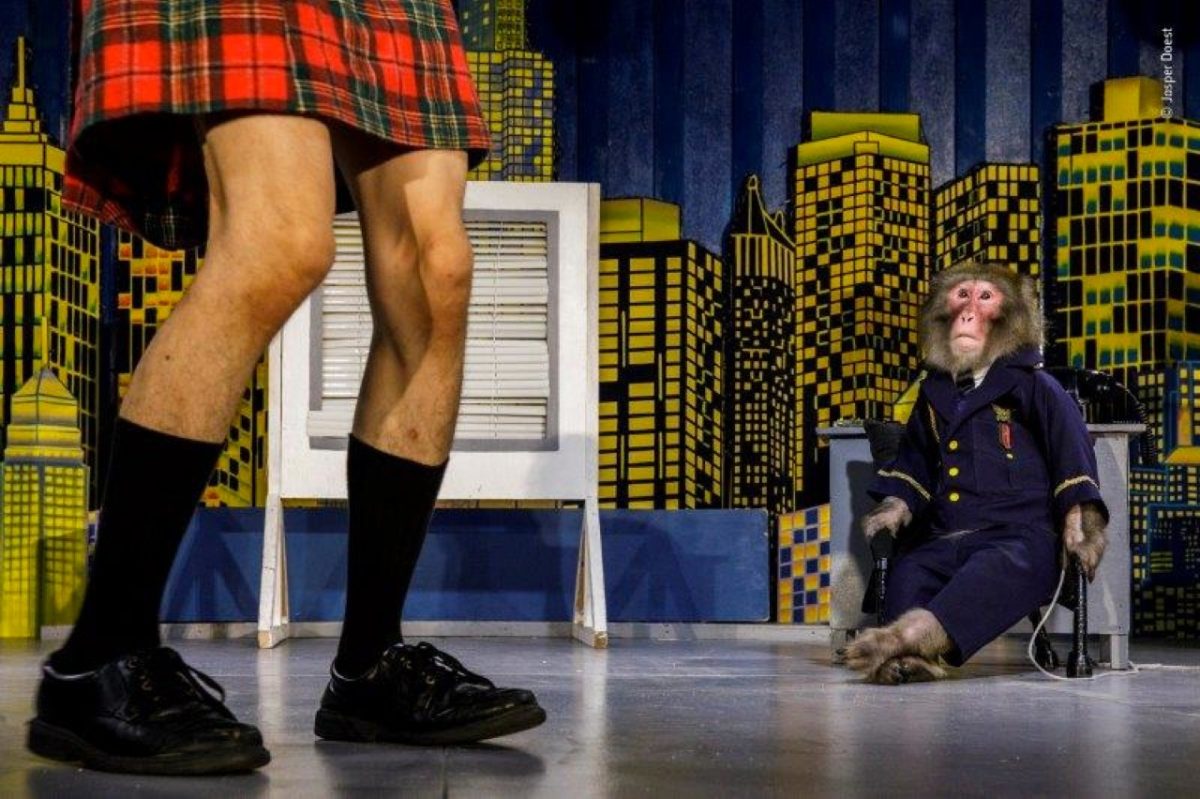 Galleria foto 'Wildlife Photographer of the Year' - foto 11