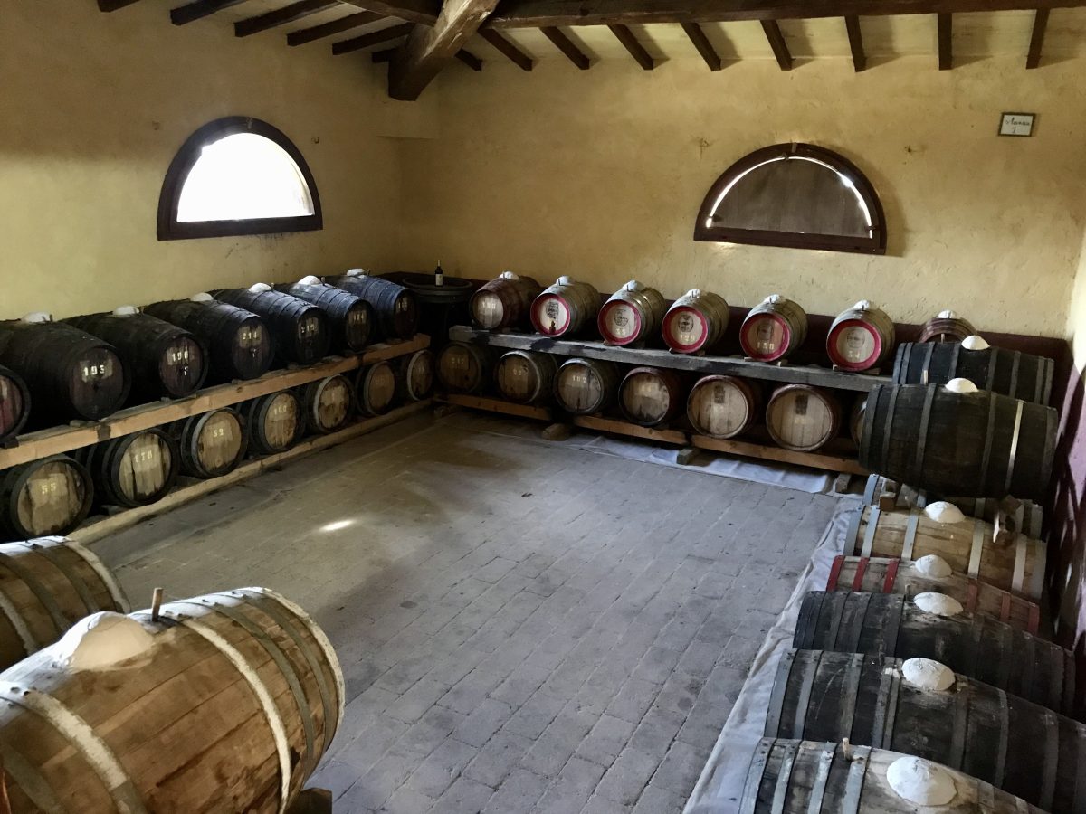 Galleria foto 'Vin Santo, un’eccellenza senese tra storia e cultura' - foto 3