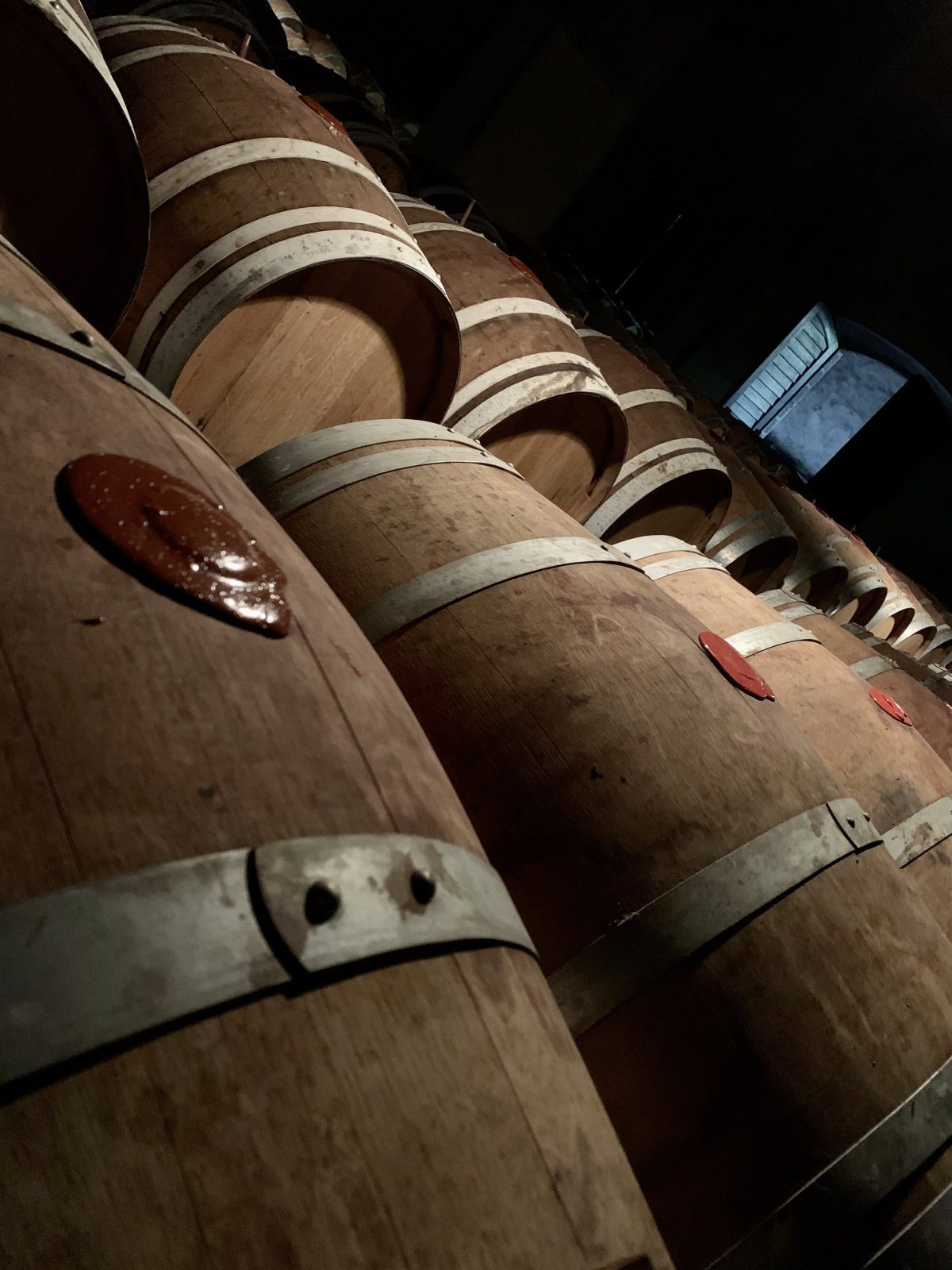 Galleria foto 'Vin Santo, un’eccellenza senese tra storia e cultura' - foto 4