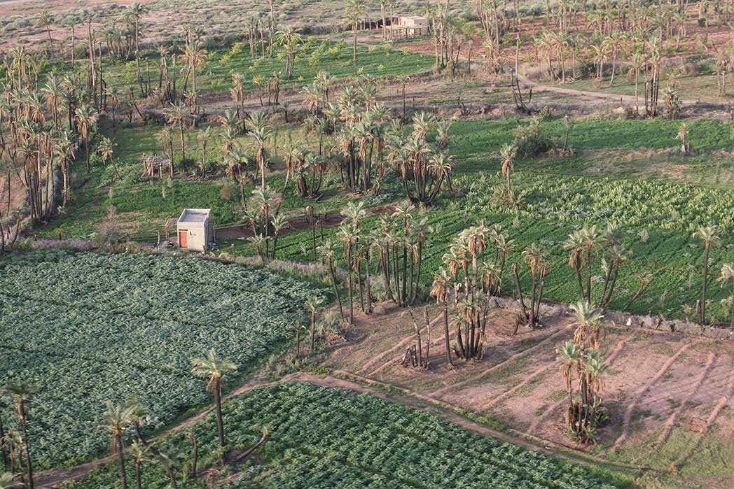 Cosa vedere e cosa fare a Marrakech