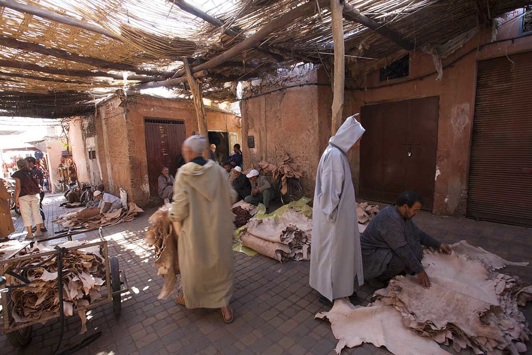 Cosa vedere e cosa fare a Marrakech