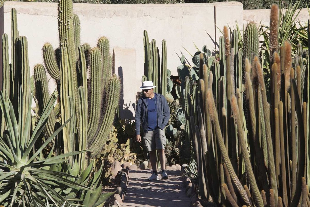 Cosa vedere e cosa fare a Marrakech