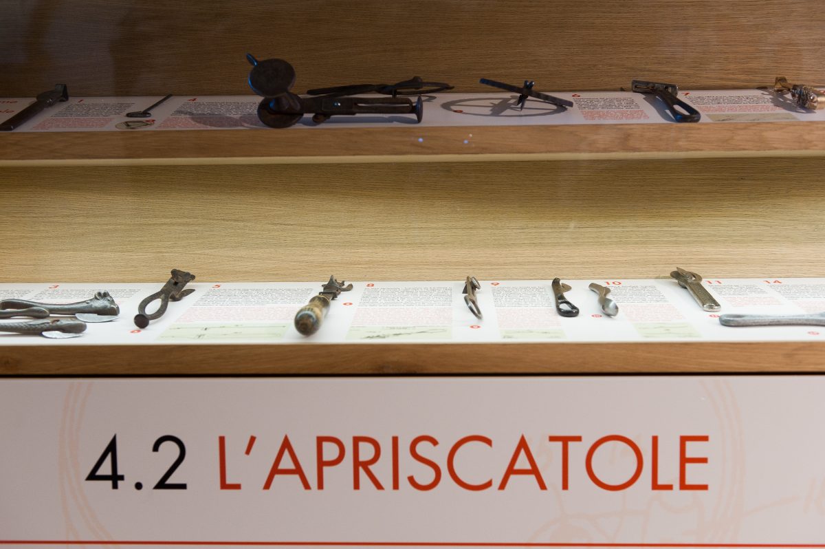 Galleria foto 'Parma, gli eventi e le esperienze gastronomiche da non perdere nel 2020' - foto 11