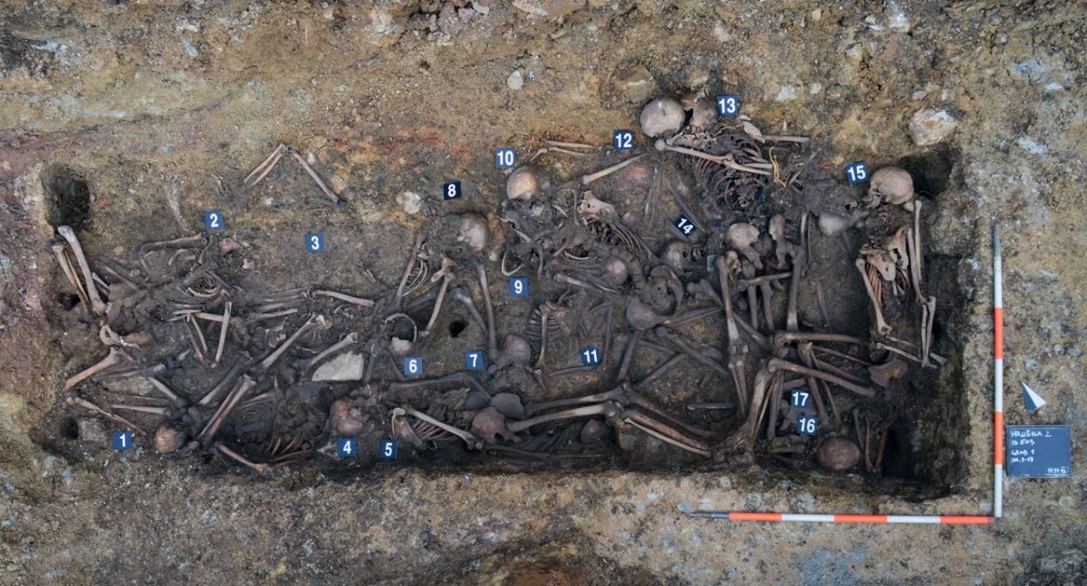 Galleria foto 'Cronaca dell’ultimo massacro titino scoperto in Slovenia' - foto 8