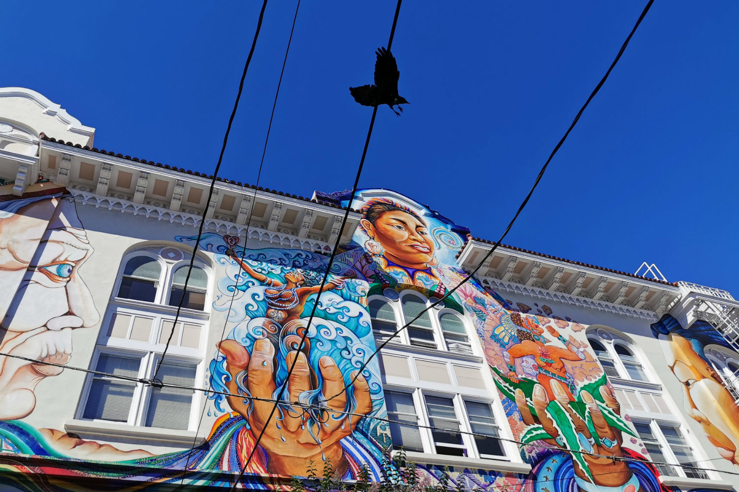 San Francisco, cinque esperienze imperdibili