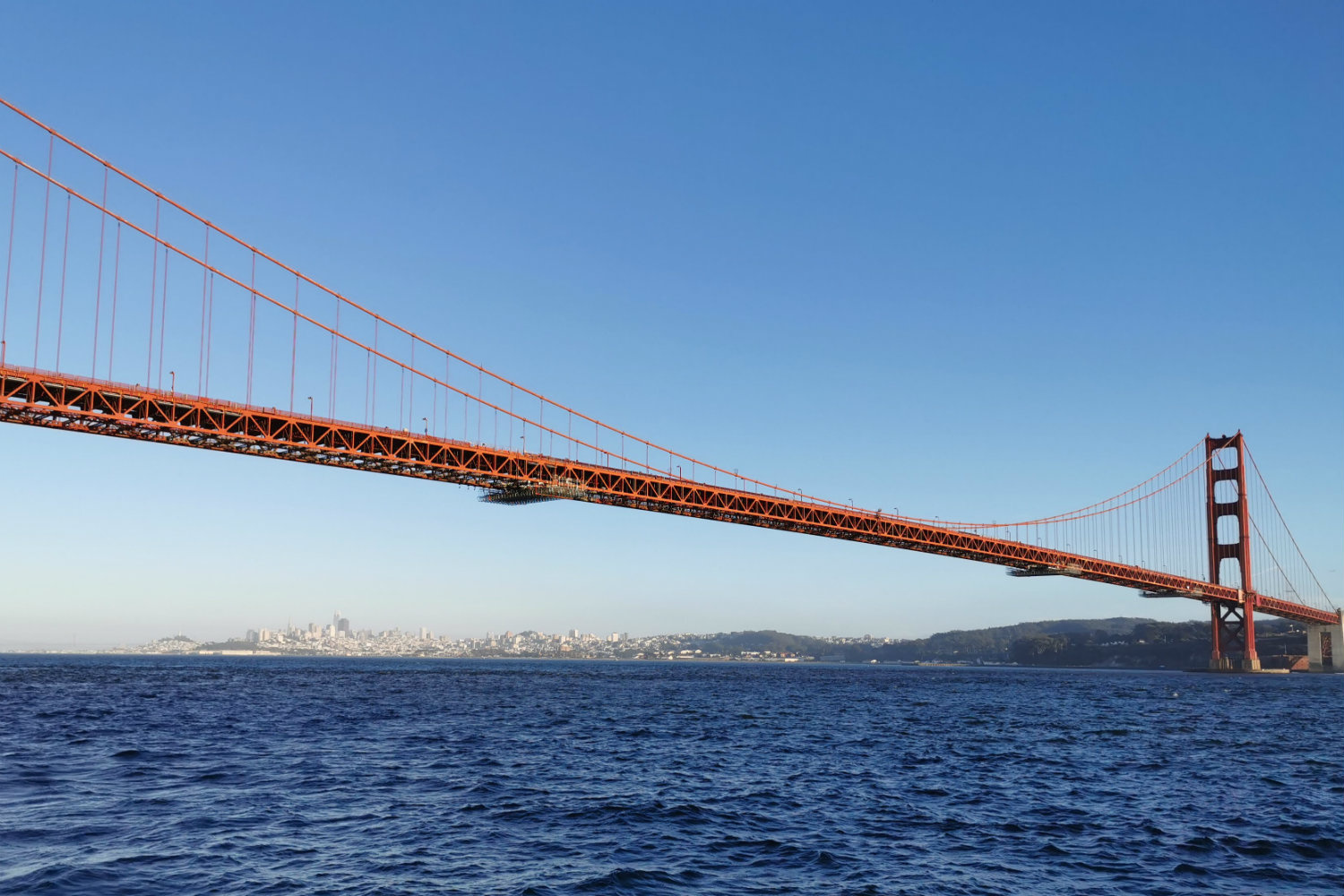 San Francisco, cinque esperienze imperdibili