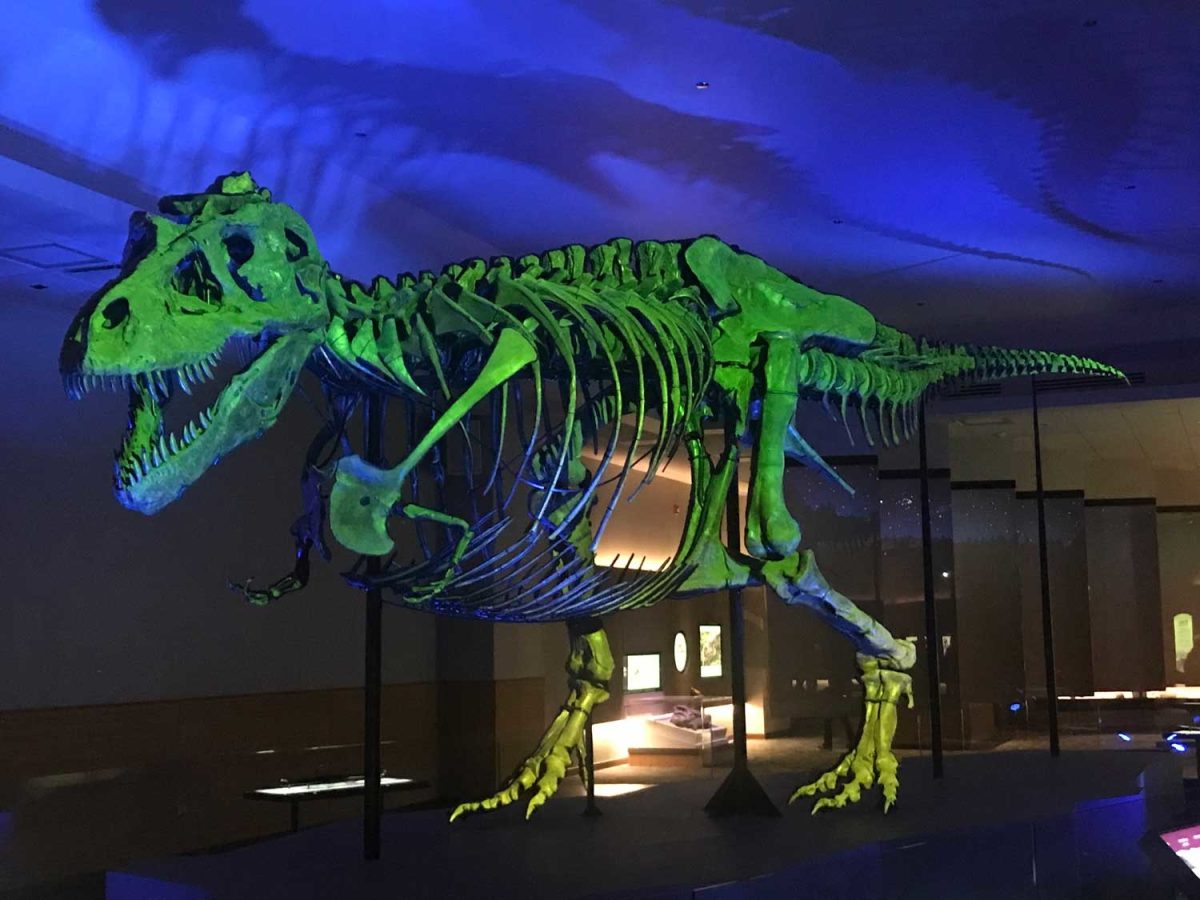 Cinque cose (e qualche location da film) da vedere a Chicago Cinque cose (e qualche location da film) da vedere a Chicago