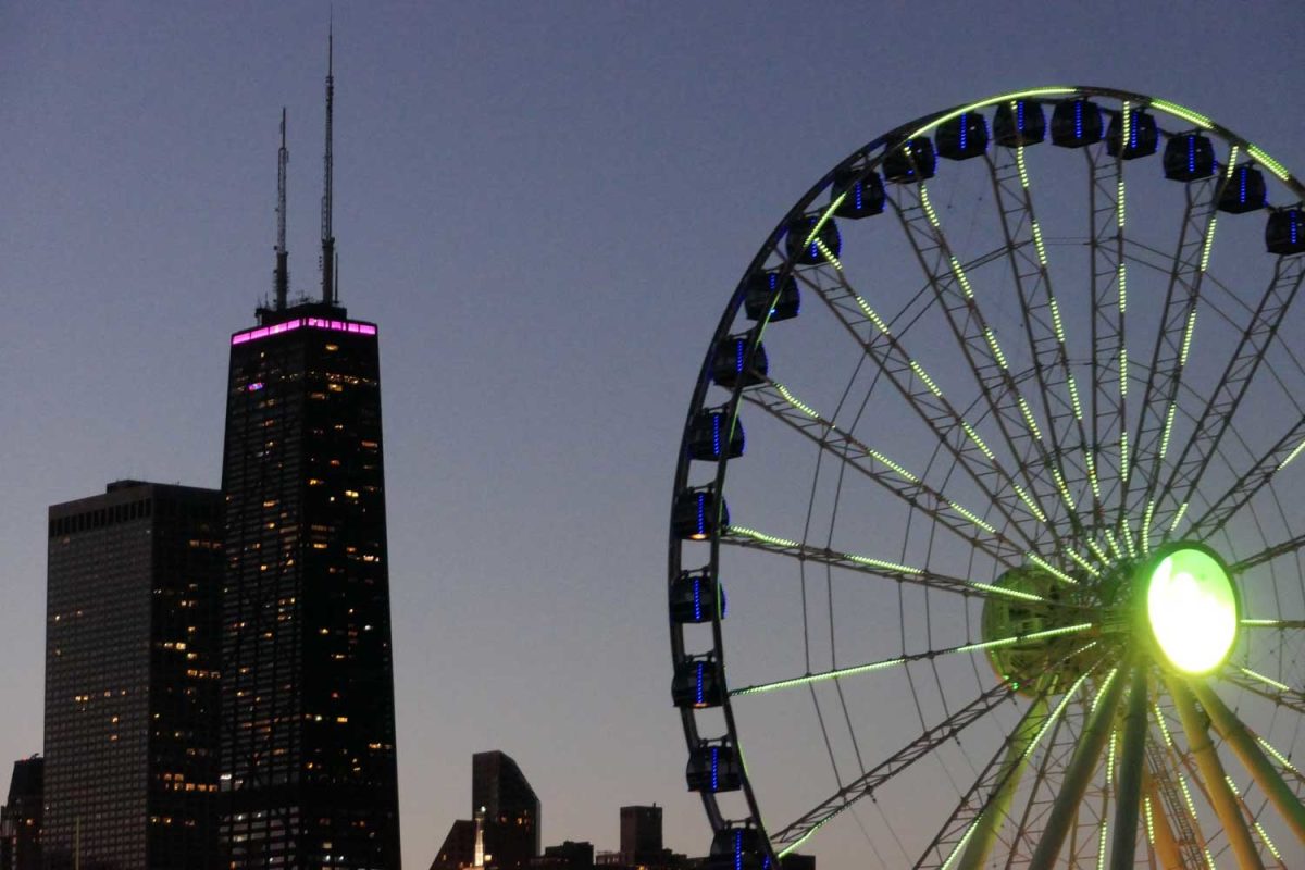 Galleria foto 'Cinque cose (e qualche location da film) da vedere a Chicago' - foto 8