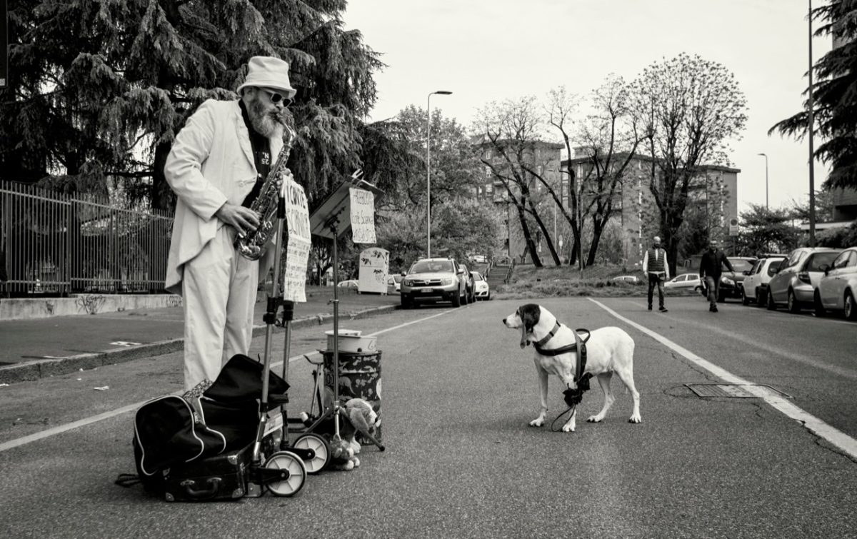 Galleria foto '“La lunga vita”. La mostra a Palazzo Morando' - foto 10