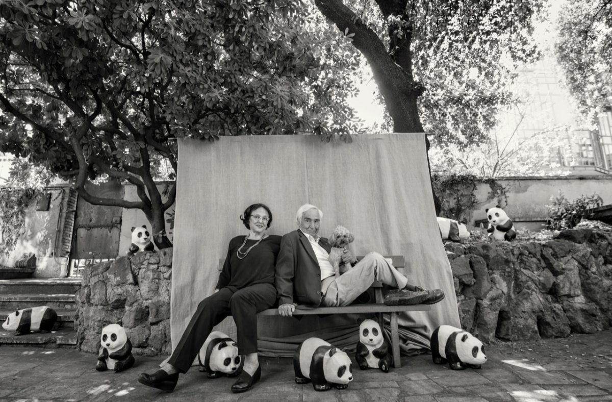 Galleria foto '“La lunga vita”. La mostra a Palazzo Morando' - foto 9