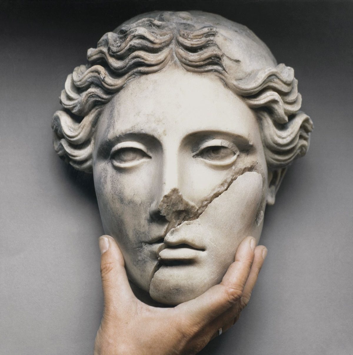 Galleria foto 'La rivoluzione siamo noi. La mostra a Piacenza' - foto 8