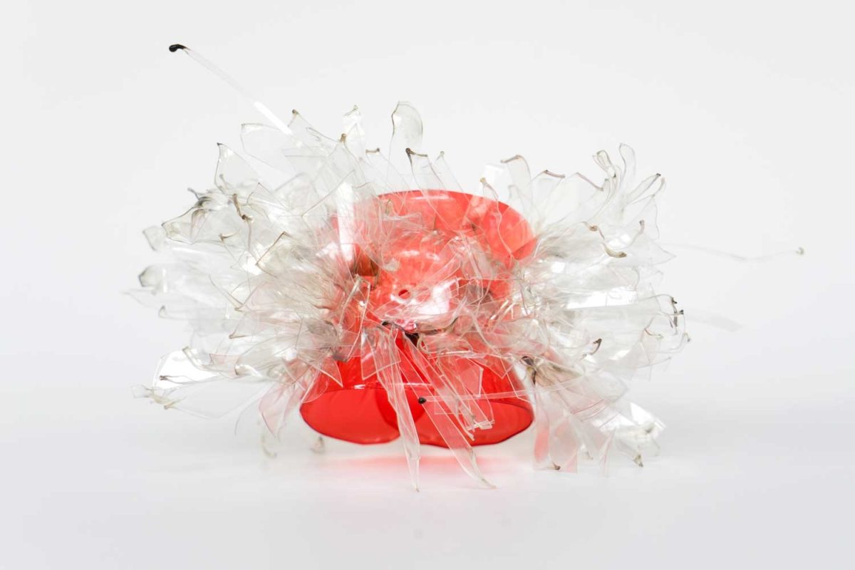 Galleria foto '“Gioielli d’acqua” in mostra a Casa Fantini Laketime' - foto 10