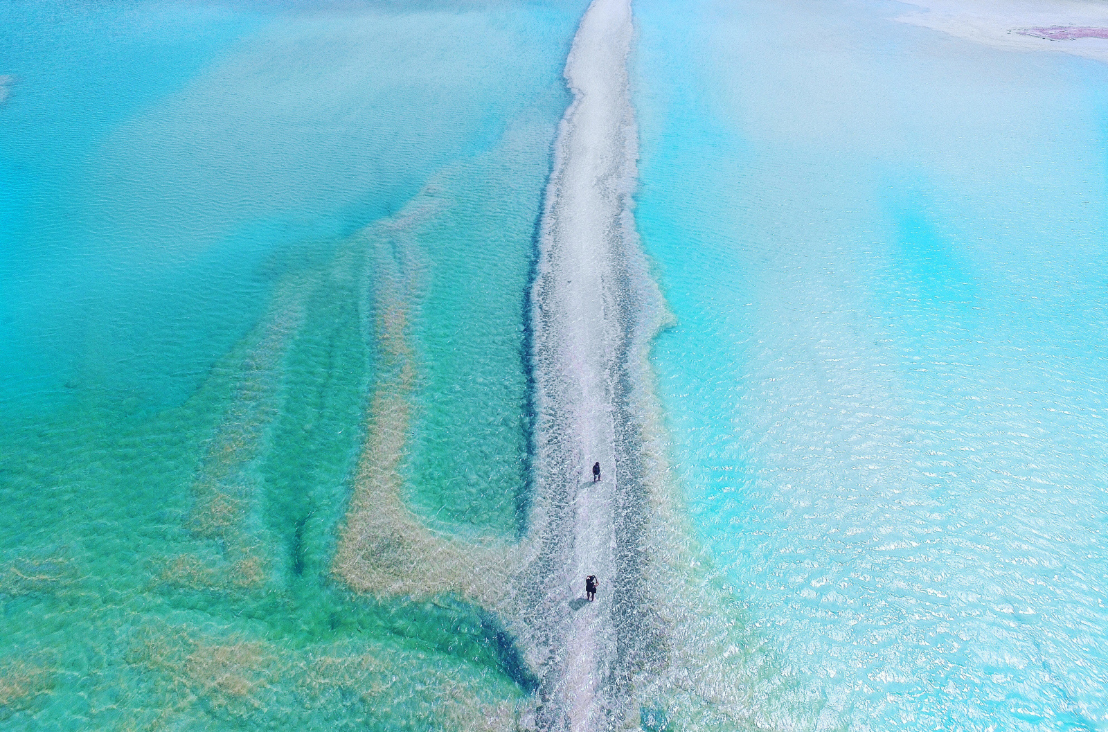 Il South Australia a portata di Smarthphone