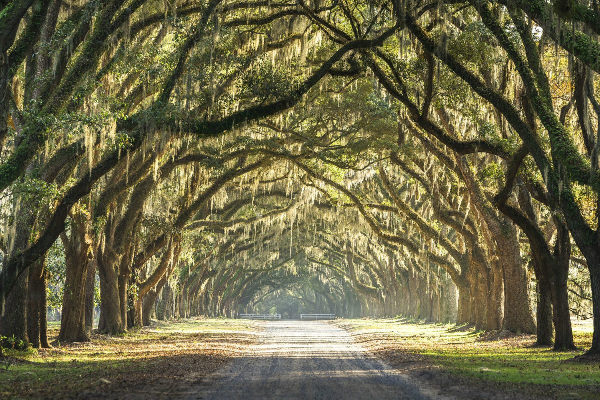 Galleria foto 'Sette viaggi da sogno per immaginarsi altrove' - foto 2