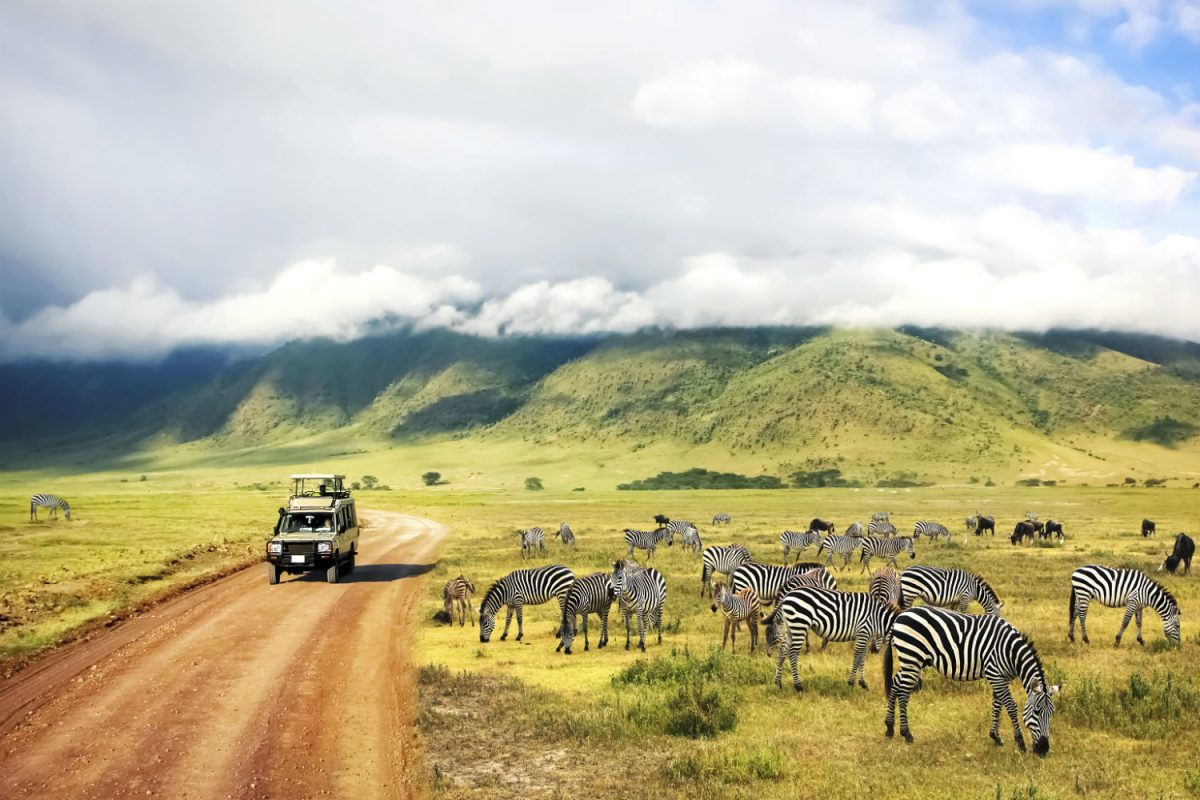 Sette viaggi da sogno per immaginarsi altrove Sette viaggi da sogno per immaginarsi altrove