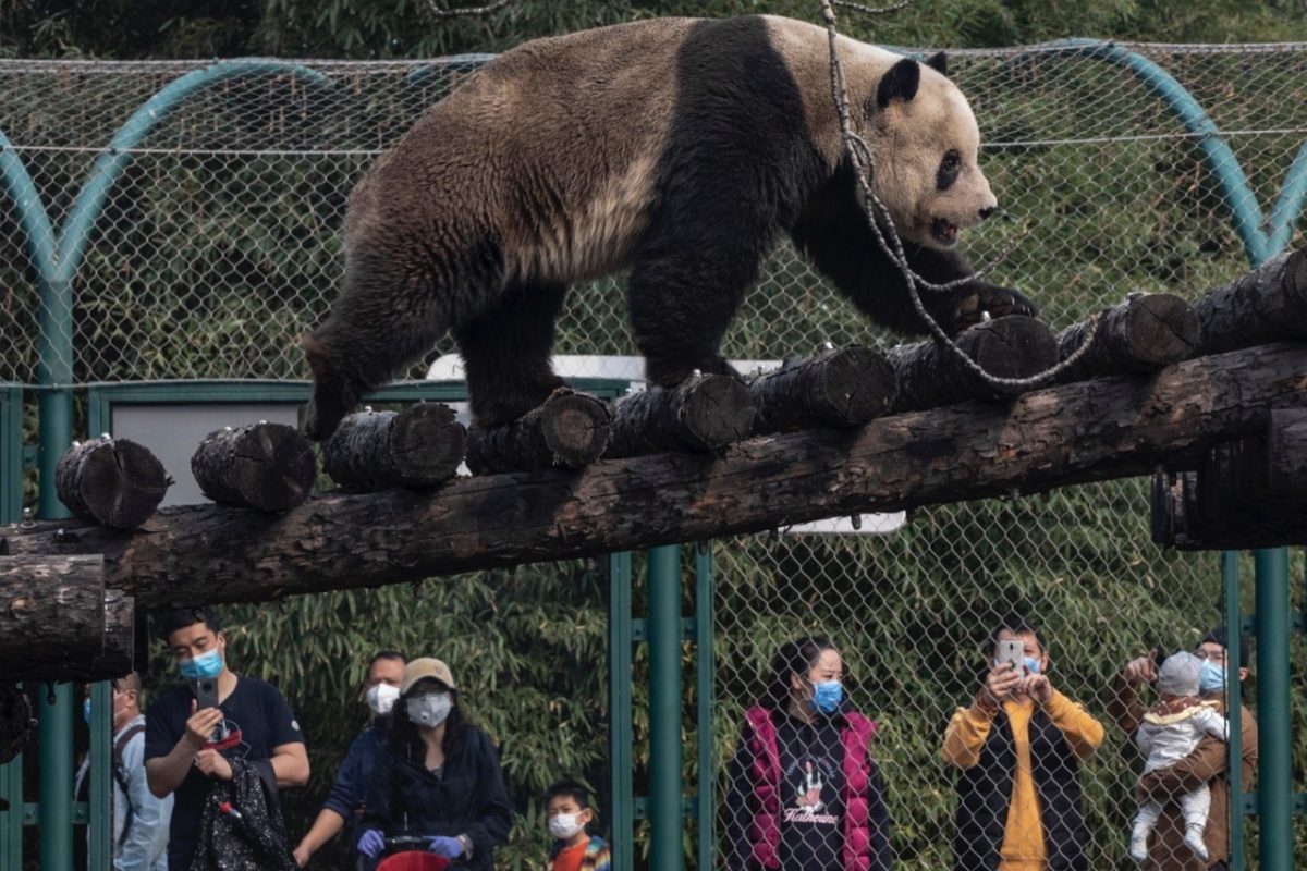 Coronavirus, la ripresa (lenta) della Cina | FOTO
