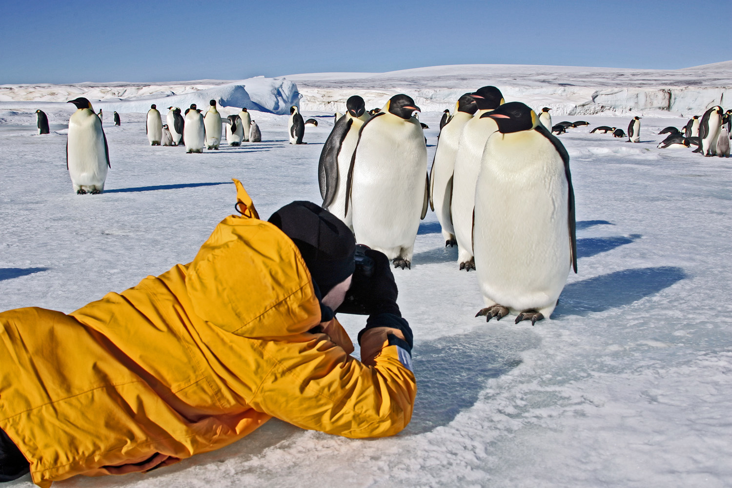 Andare in Antartide (senza Covid) con scienziati e geografi Andare in Antartide (senza Covid) con scienziati e geografi