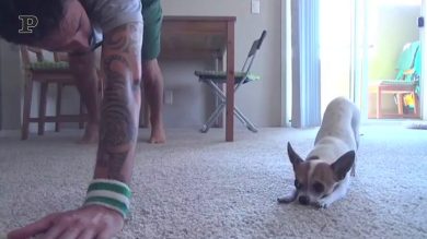 Yoga con fido in quarantena