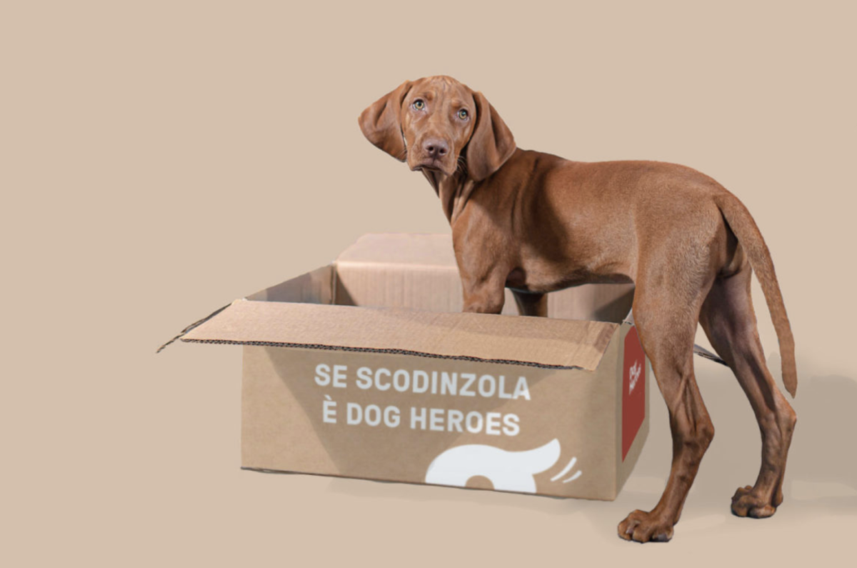 Galleria foto 'Cinque servizi che consegnano a domicilio e miglioreranno la vostra giornata' - foto 6