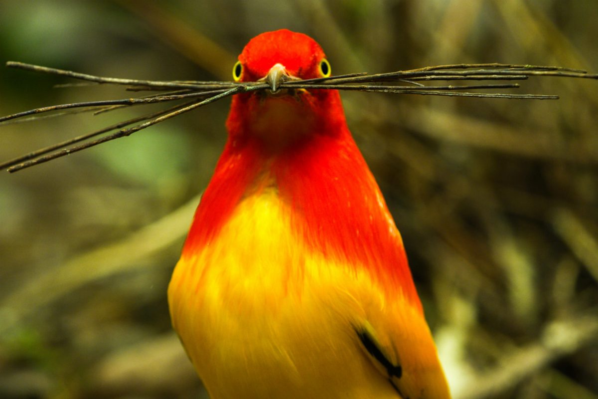 Galleria foto 'Sette cose intelligenti da fare in casa (di questi tempi)' - foto 7