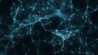 Blockchain: aperta o chiusa?