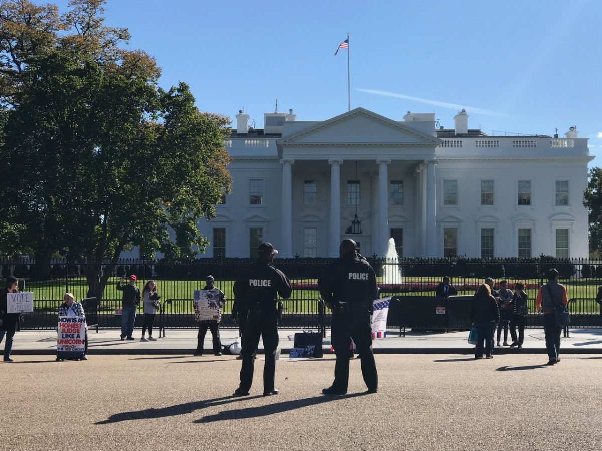 Galleria foto 'Viaggio a Washington, cosa vedere' - foto 15