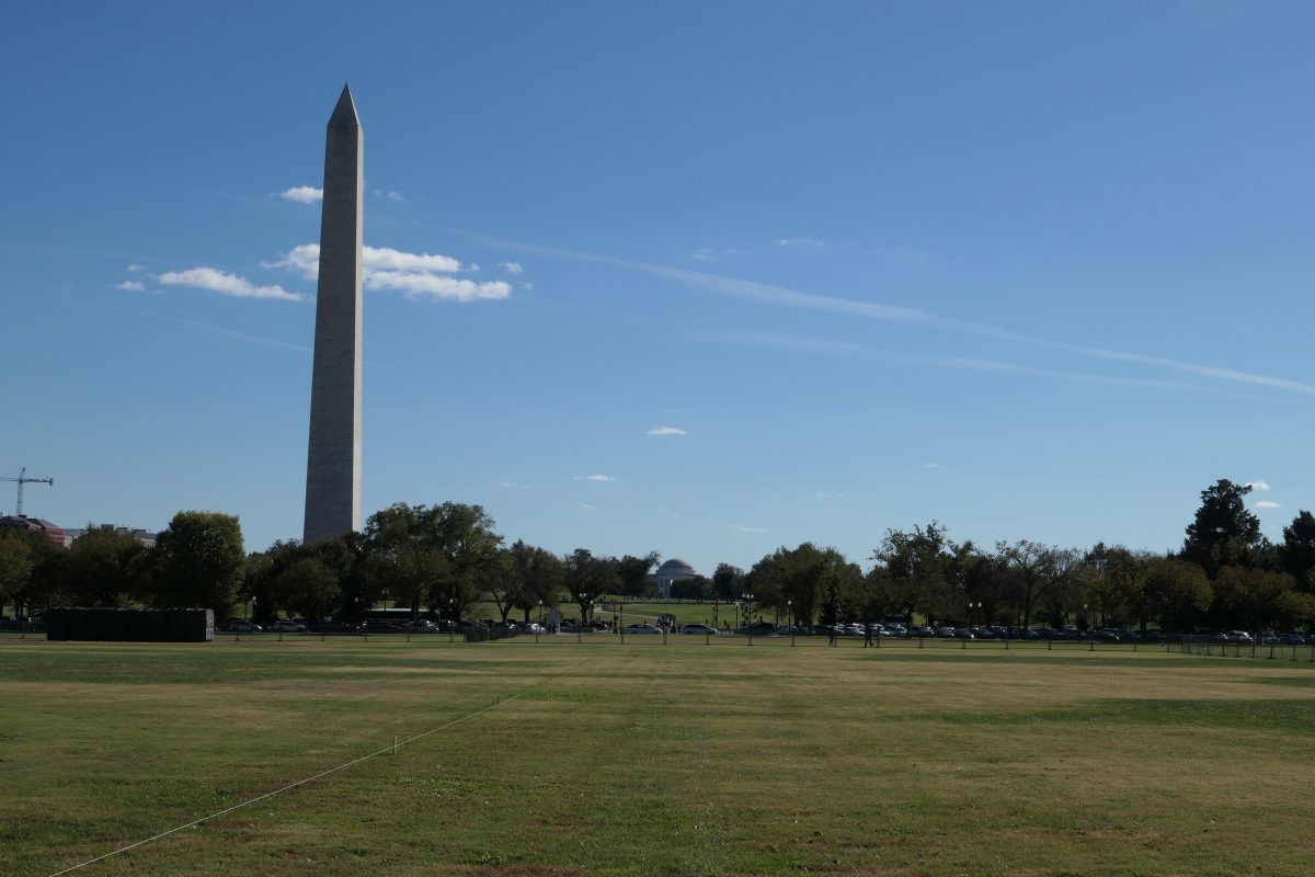 Galleria foto 'Viaggio a Washington, cosa vedere' - foto 8