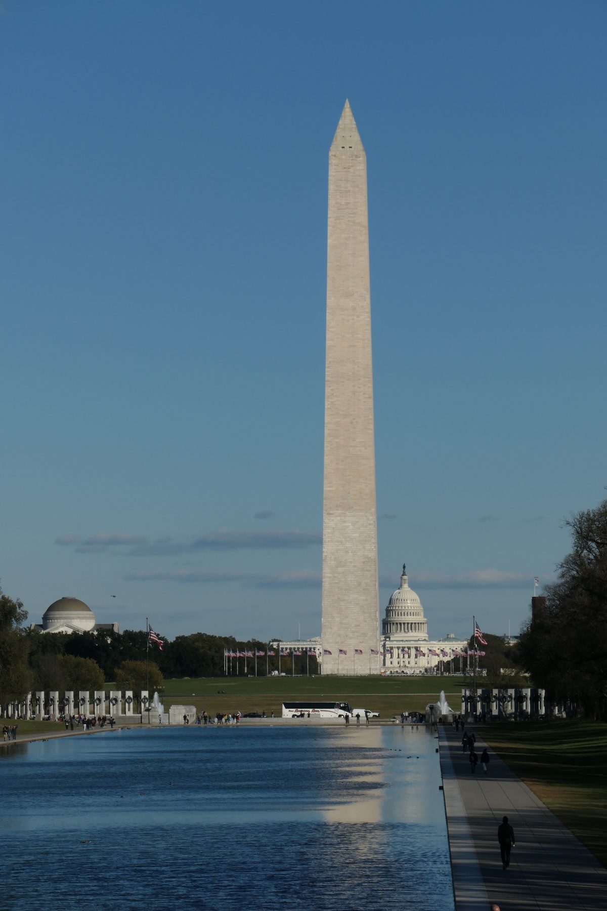 Galleria foto 'Viaggio a Washington, cosa vedere' - foto 7