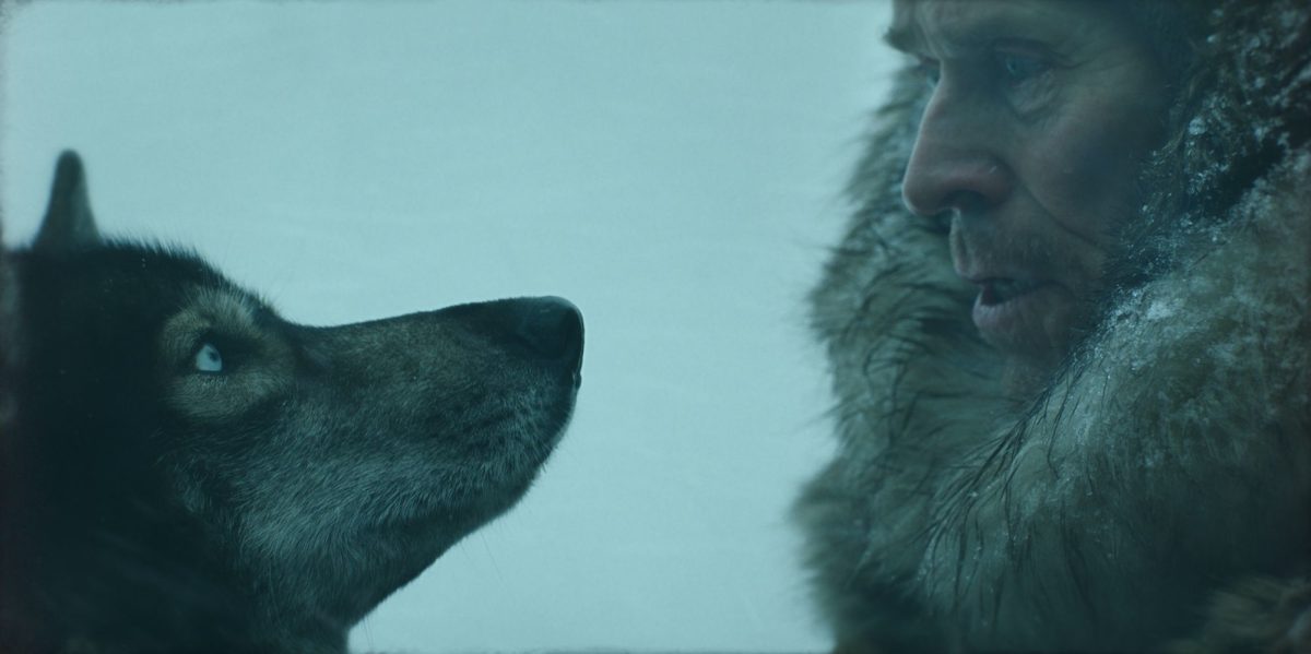 Galleria foto 'Disney+ arriva in Italia a cinque euro al mese' - foto 10